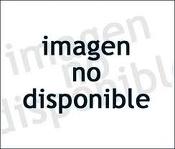 <p>SR2 CONTROL REMOTO GRIS  </p>
